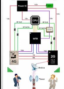 Network Section